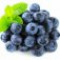 blueberry-بلوبری