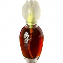کلوهه نارسیس -  chloe narcisse - عطرامین