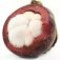 mangosteen-ترگیل