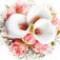 گل‌های معطر